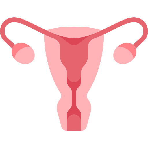 uterus