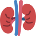 kidney